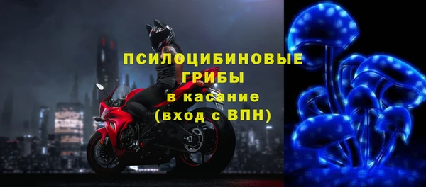 прущий лед Алзамай