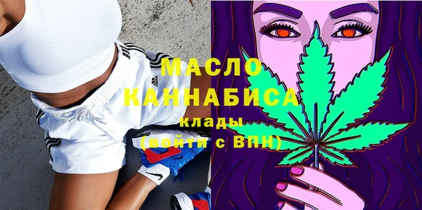 прущий лед Алзамай