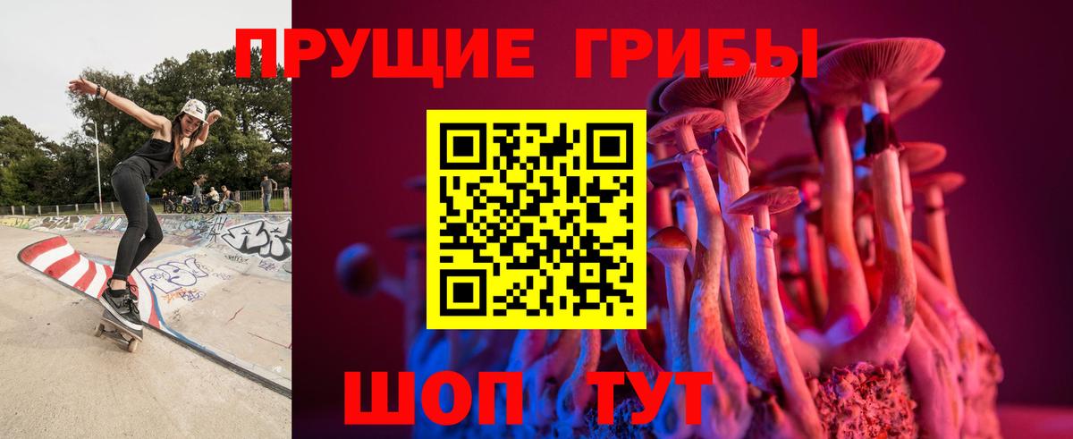 Псилоцибиновые грибы Psilocybine cubensis Кириши