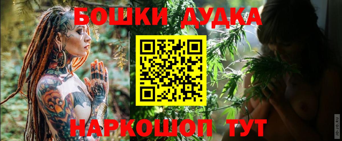 Бошки Шишки план Кириши